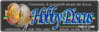 logoInt01