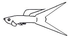 2spade02