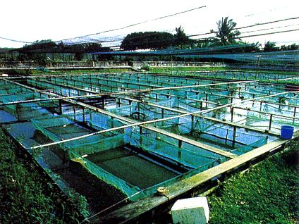 farm2 farm2