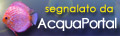 segnalato_acquaportal_3