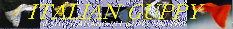 Banrgupy02