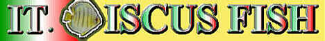 Discusbanner02