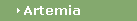 Artemia
