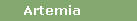 Artemia