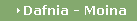 Dafnia - Moina