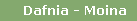 Dafnia - Moina