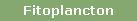 Fitoplancton