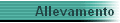 Allevamento