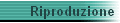 Riproduzione